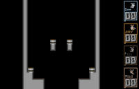 Void